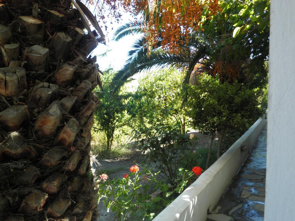 Mavrikou Helen Apartments Skyros Room photo